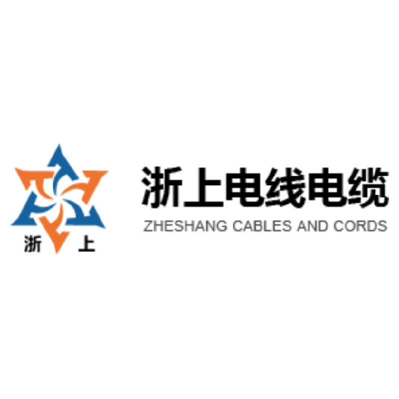 ZHESHANG DIANXIAN DIANLAN